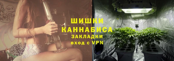 сатива Лихославль