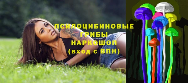 бутират Лагань