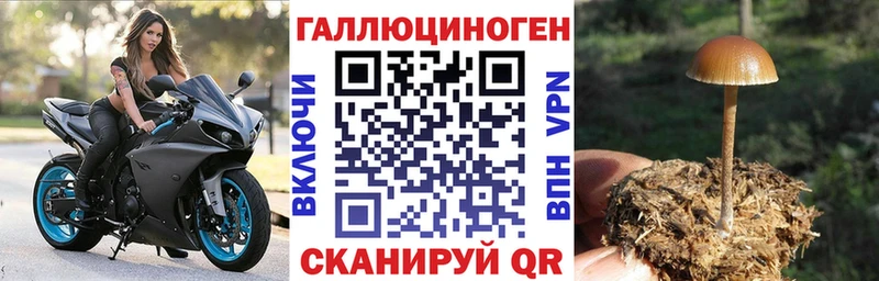 Псилоцибиновые грибы ЛСД  Купить где  Чехов 